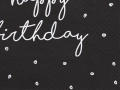 SERWETKI HAPPY BIRTHDAY CZARNE 20 szt.
