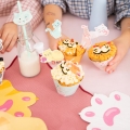 PAPILOTKI NA MUFFINKI KOTKI KOLOROWE 6szt