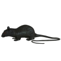 SZCZUR DEKORACYJNY LATEKSOWY CZARNY 15cm