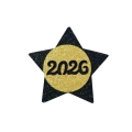 PRZYPINKA GWIAZDKA 2026 PIANKOWA CZARNO-ZŁOTA 7,5cm