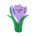 ZESTAW KWIATEK KROKUS C.ZIELONY 116-128 3el