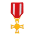 ZESTAW PIŁSUDSKI SZARY 5el