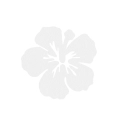 ZESTAW FRONTÓW KWIATEK HIBISKUS FILCOWE BIAŁY 6x5,5cm 3szt