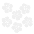 ZESTAW FRONTÓW KWIATEK HIBISKUS FILCOWE BIAŁY 6x5,5cm 6szt