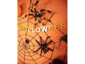 BANER HAPPY HALLOWEEN POMARAŃCZOWY 1,6m